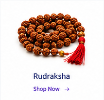 Rudraksh
